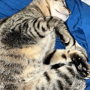 Meet your Posher, Natalie